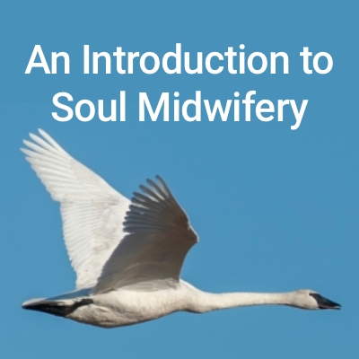 The Soul Midwives School Introductory Course