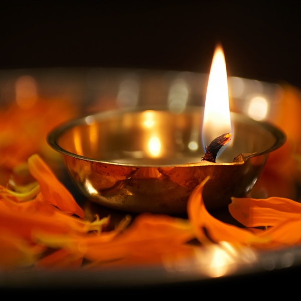 Sacred Oils Course re-wild the soul - Sept-2025